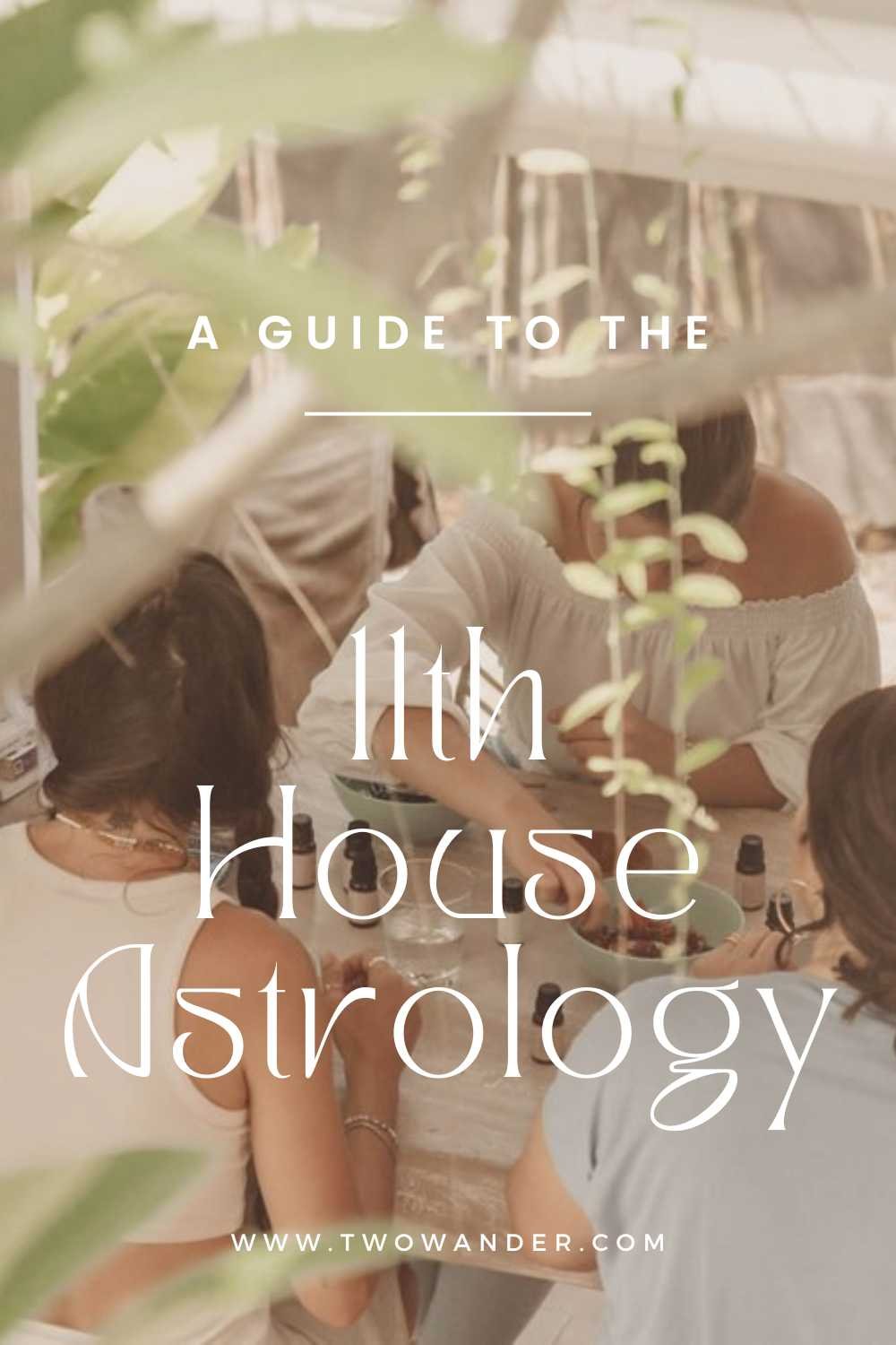 two-wander-a-guide-to-the-11th-house-astrology