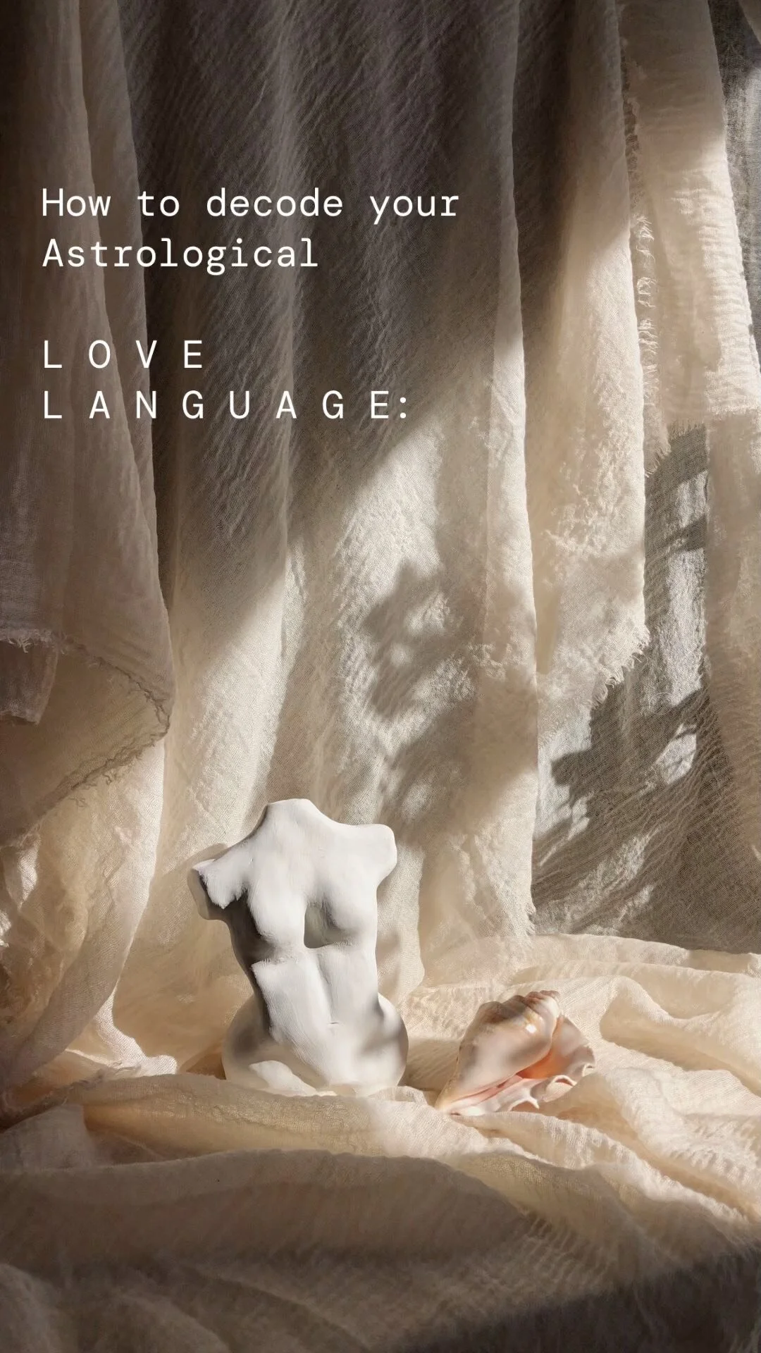 How to Start Learning Astrology — Two Wander x Elysium Rituals