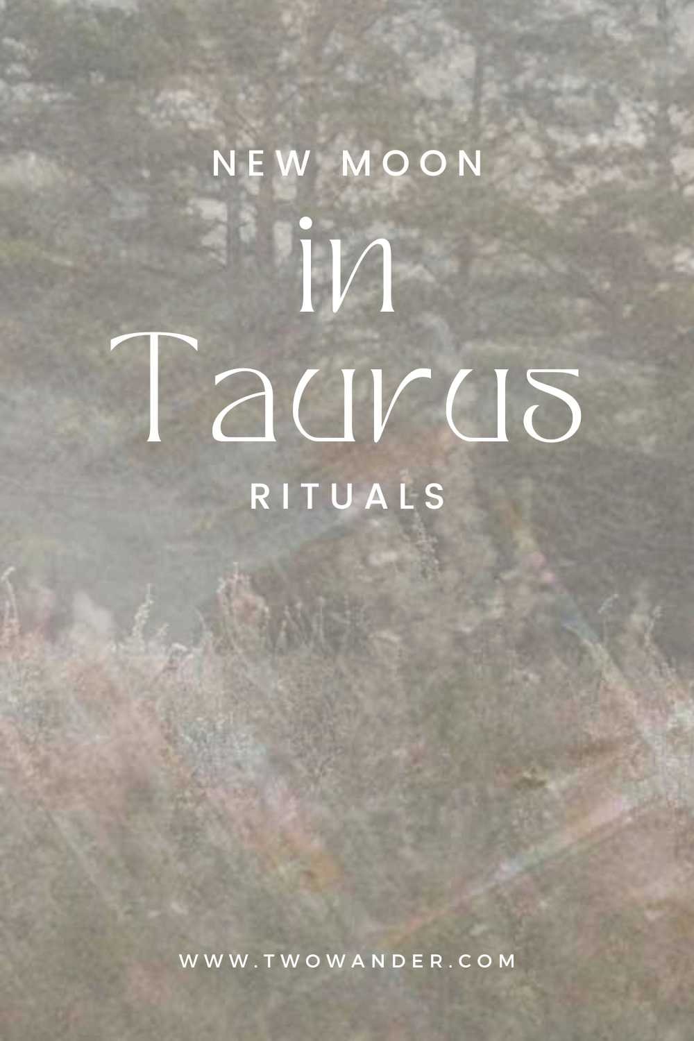 two-wander-taurus-new-moon-ritual
