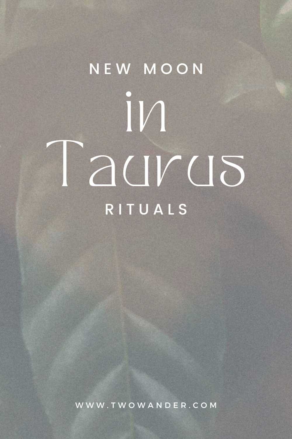 two-wander-taurus-new-moon-ritual