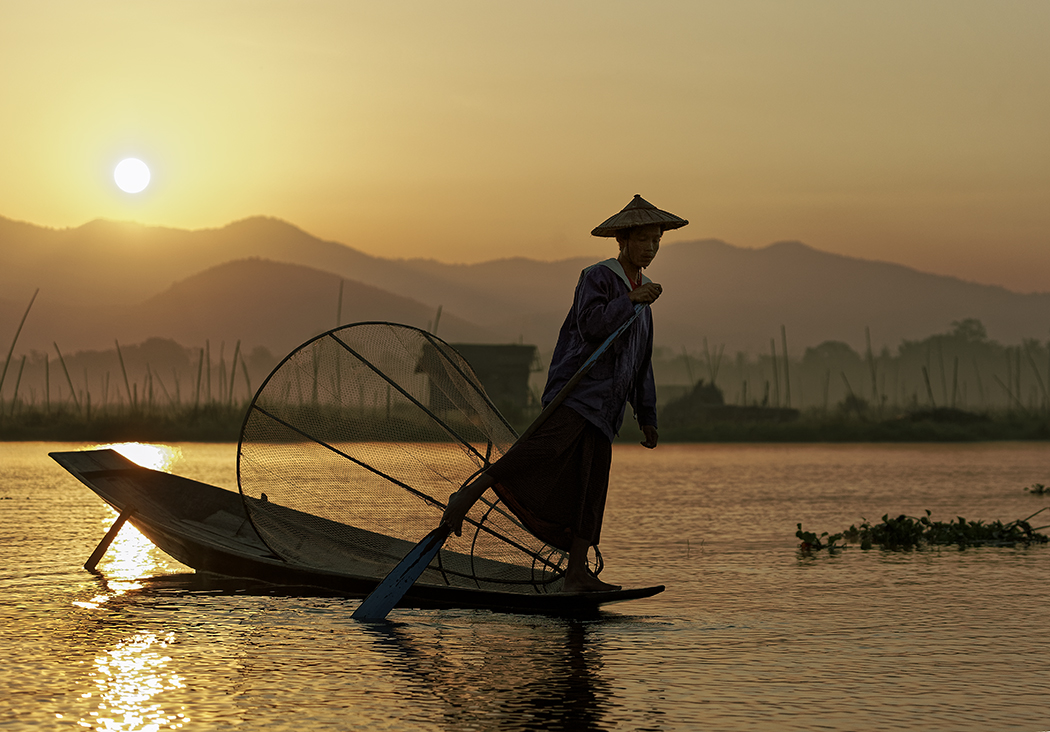 Morning Crossing