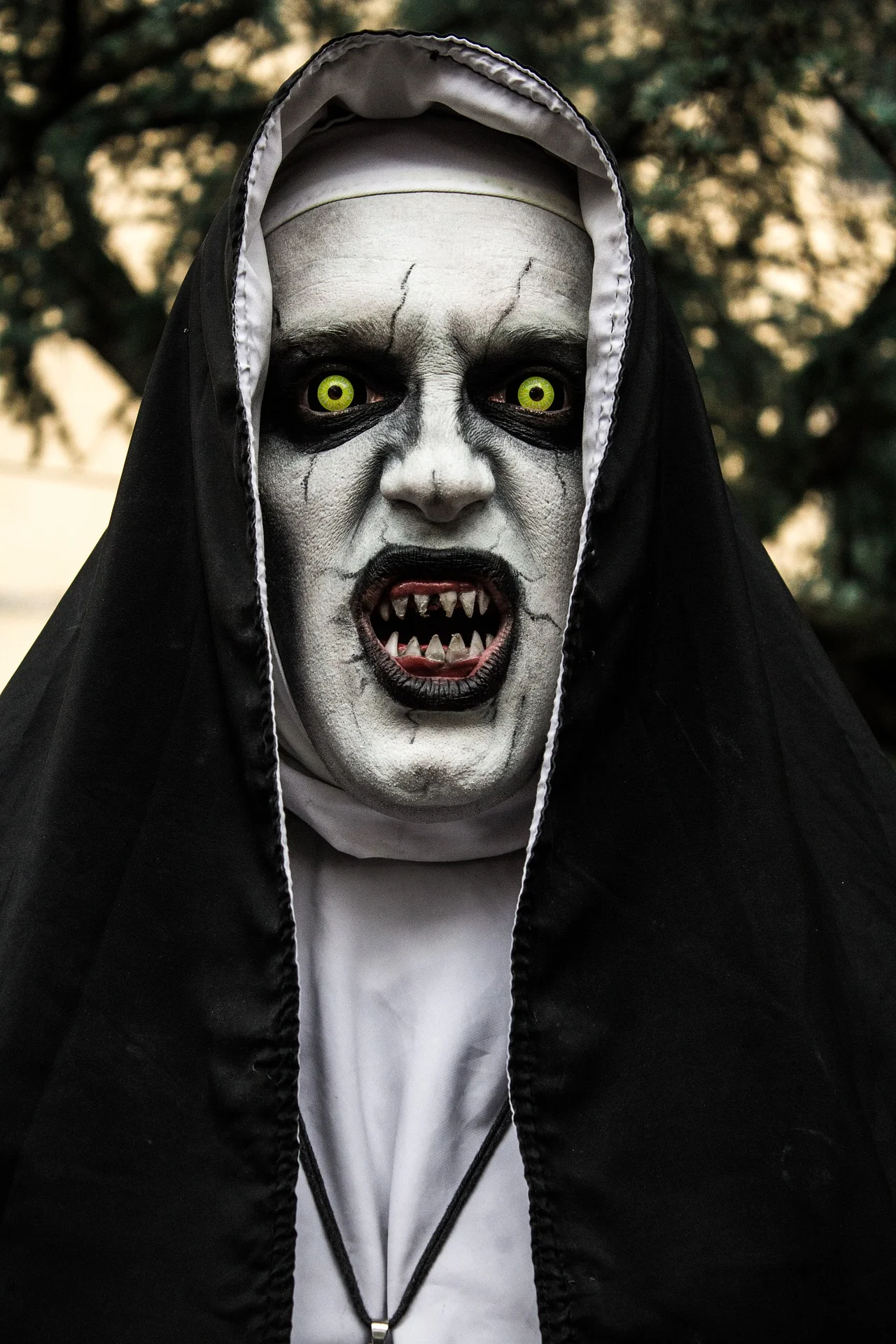 the-nun-3796613_1920.jpg