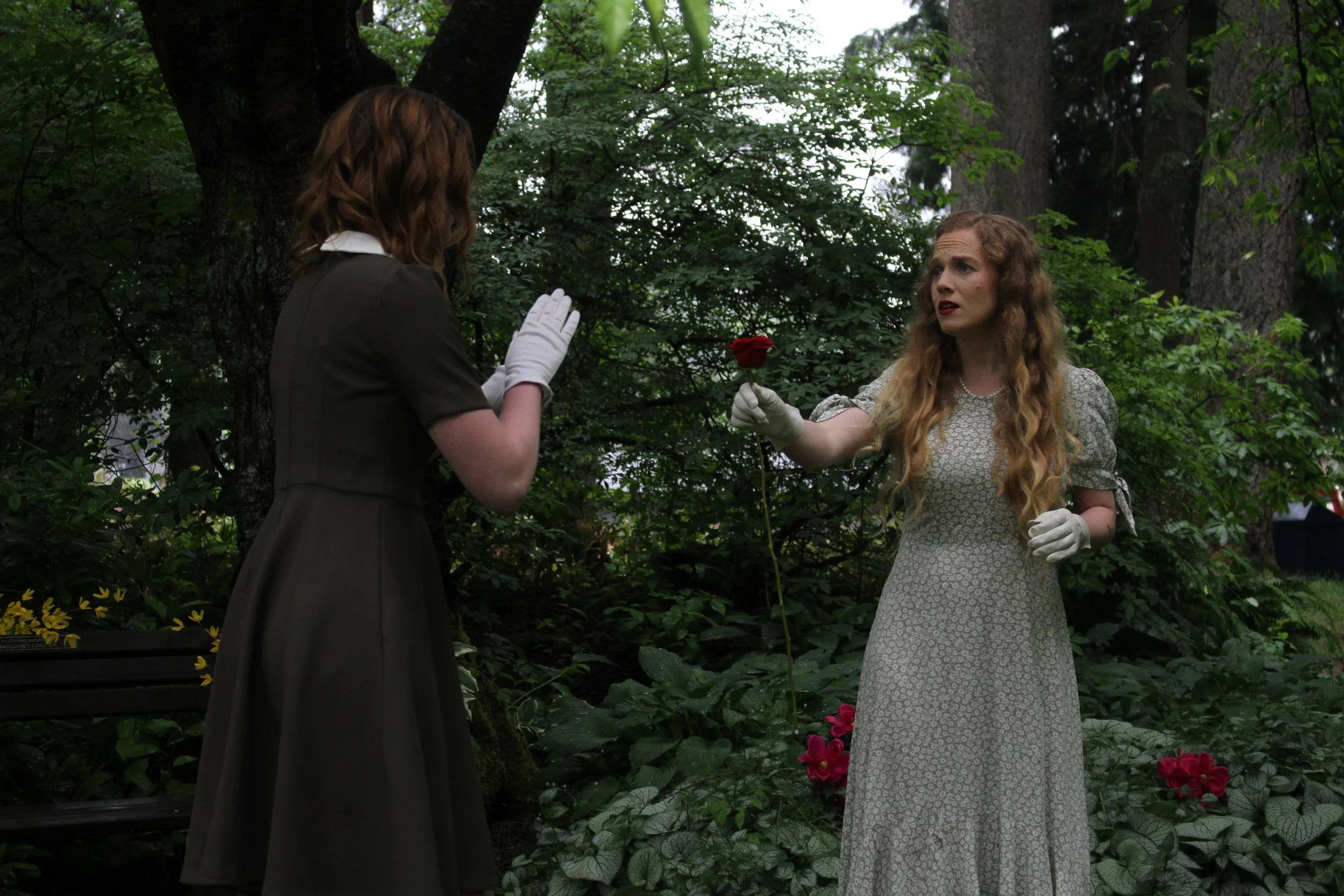 The Rose By Friends of the Forest