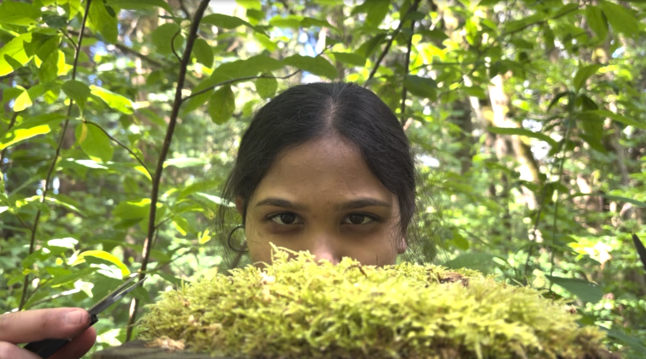 Where The Moss Grows by Sleepless Nights Productions