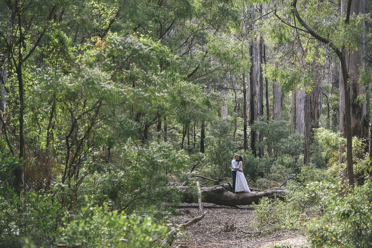 Matild Bay Wedding Ceremony