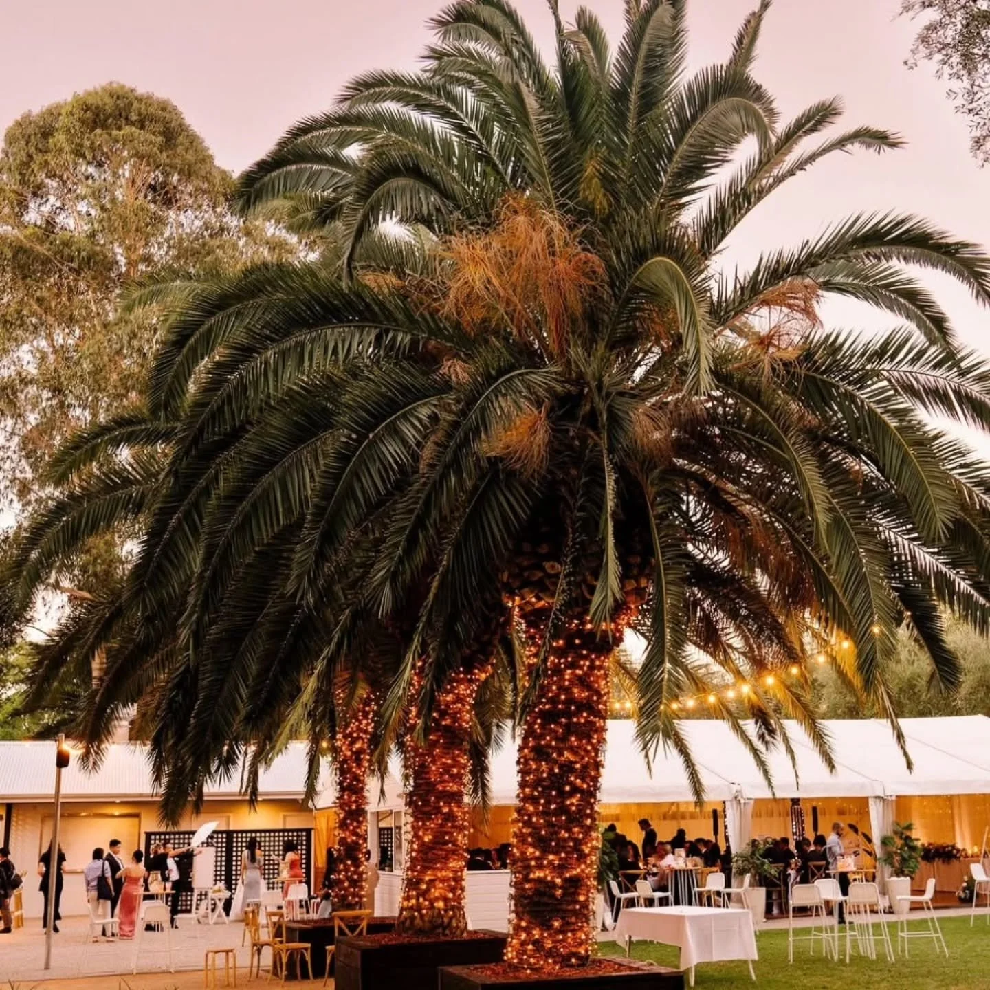 THE MALLRD DUCK ** We are proud to work exclusively with The Mallard Duck  to offer all inclusive wedding packages with exceptional value. 

Our packages are designed to save you time, money, and stress. Everything is conveniently organised in one pl