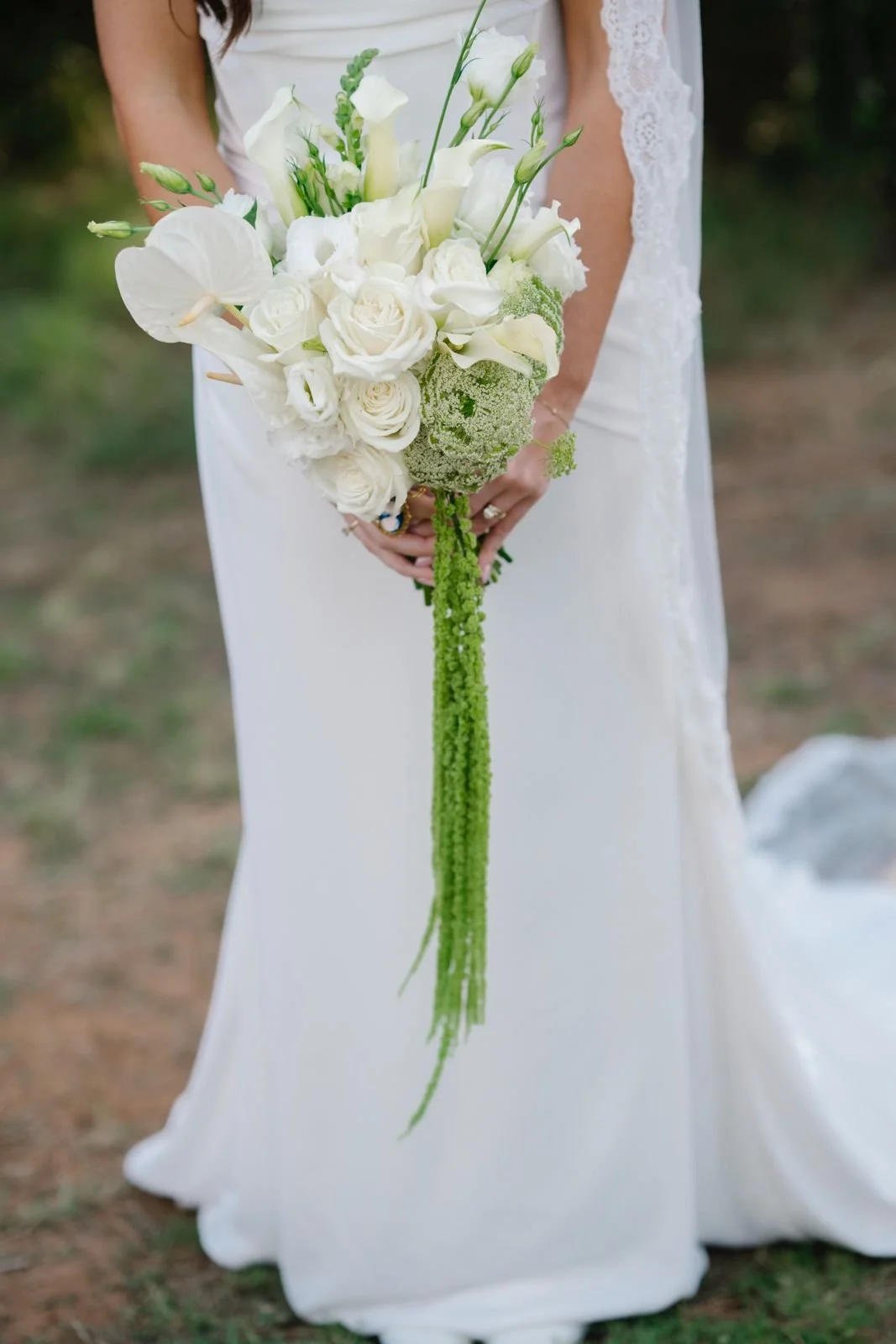 AOPI0890.JPG