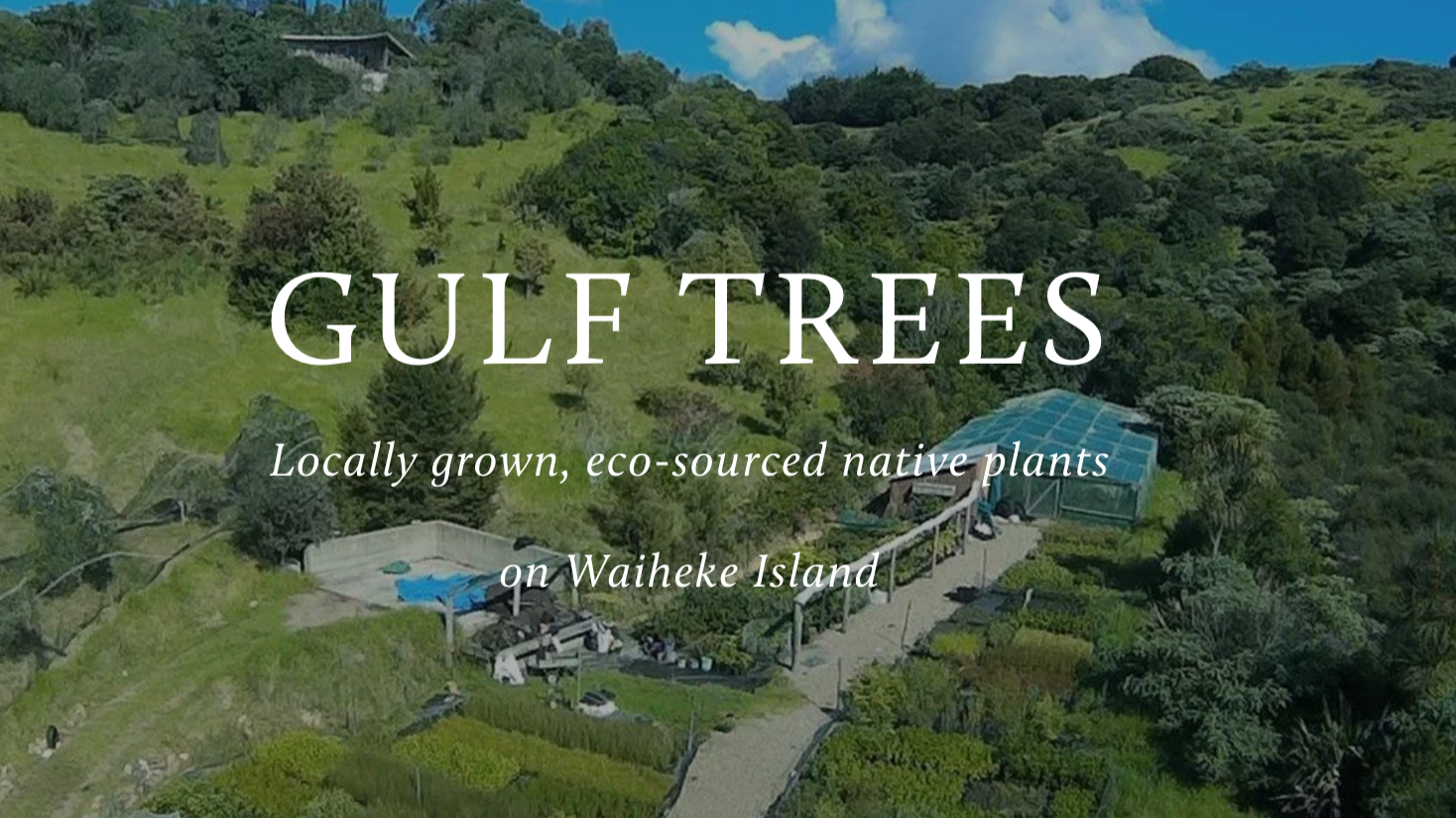 Gulf Trees