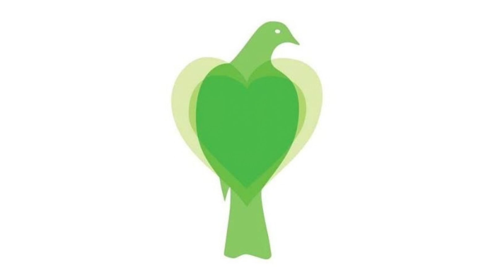 Native Bird Rescue Waiheke