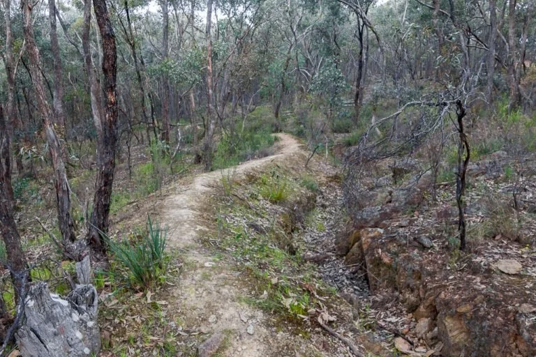 Autumn Yatra (Silent Zen Walk)