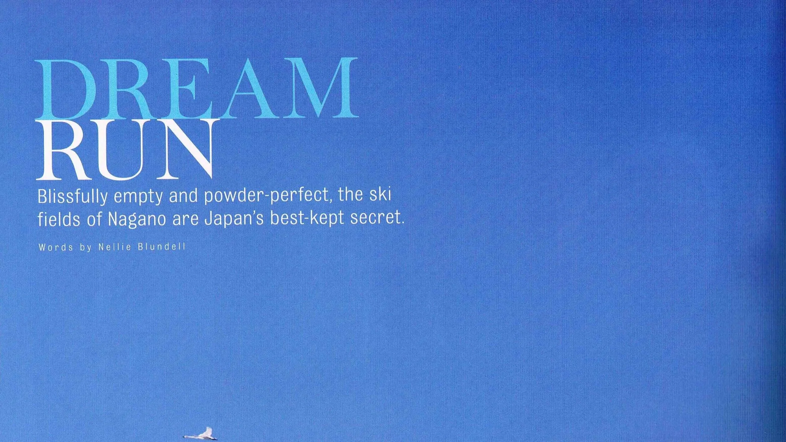 jamie+catalogue+spread09102019_5.jpg