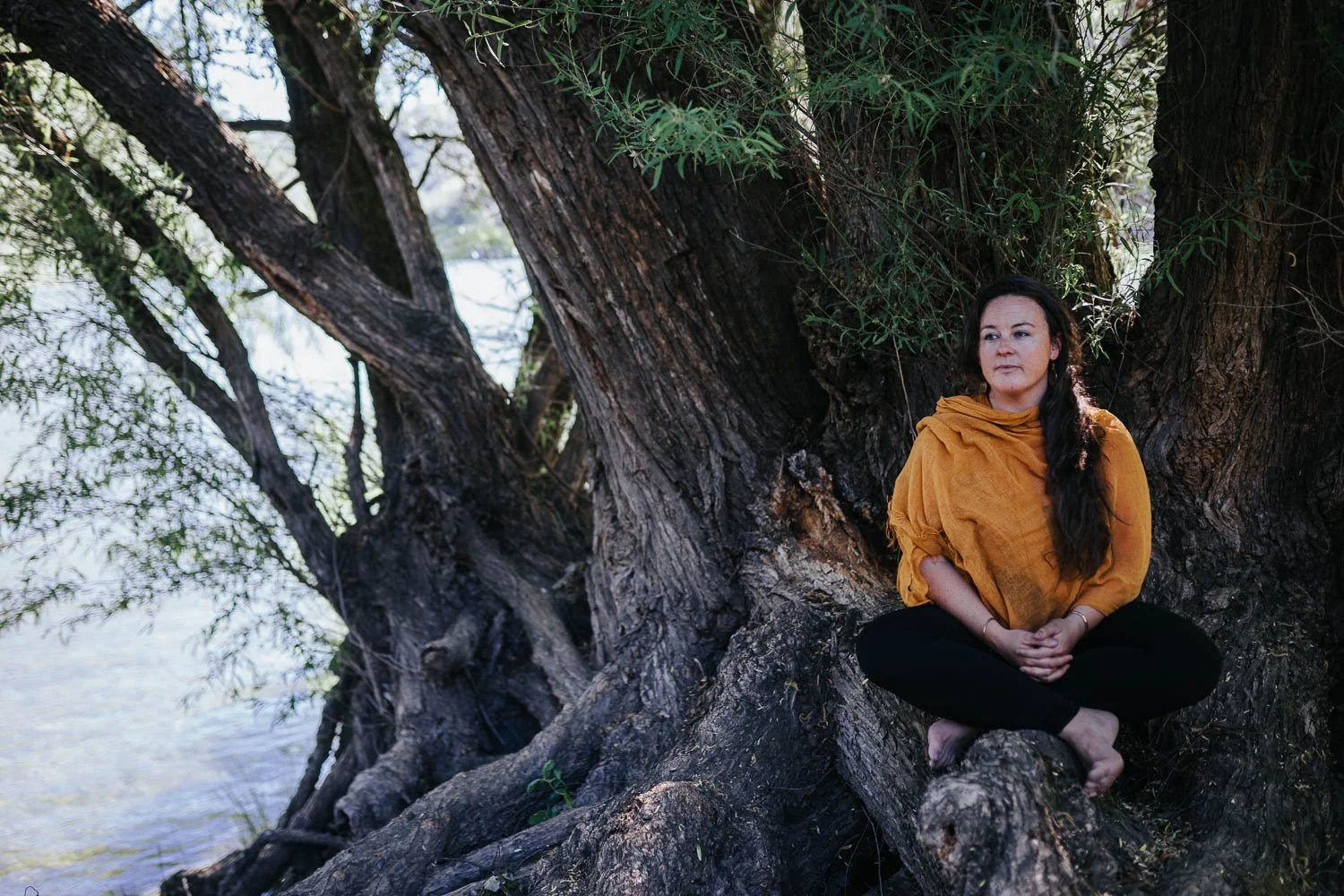 Contemplating at tree river Evok Rev.jpeg