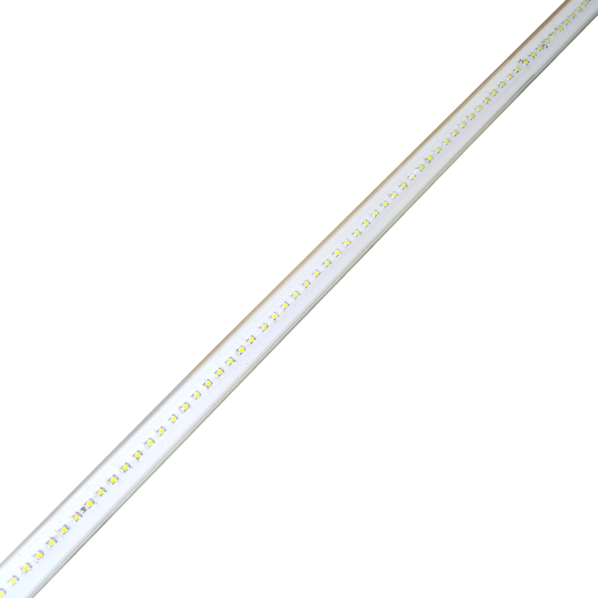 TUBE BUTTON.png
