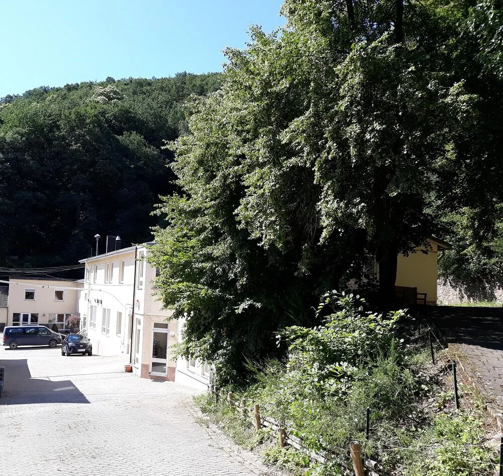 Sommerliche Impressionen