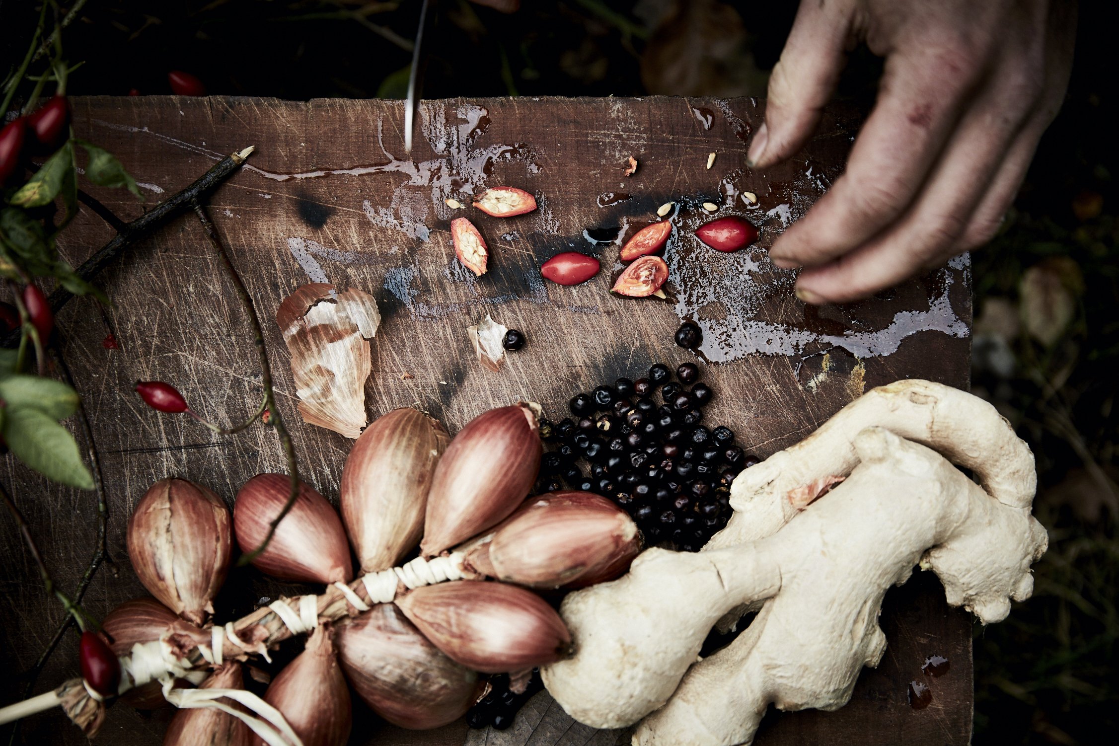 Raik Holst Foodstylist in Hamburg