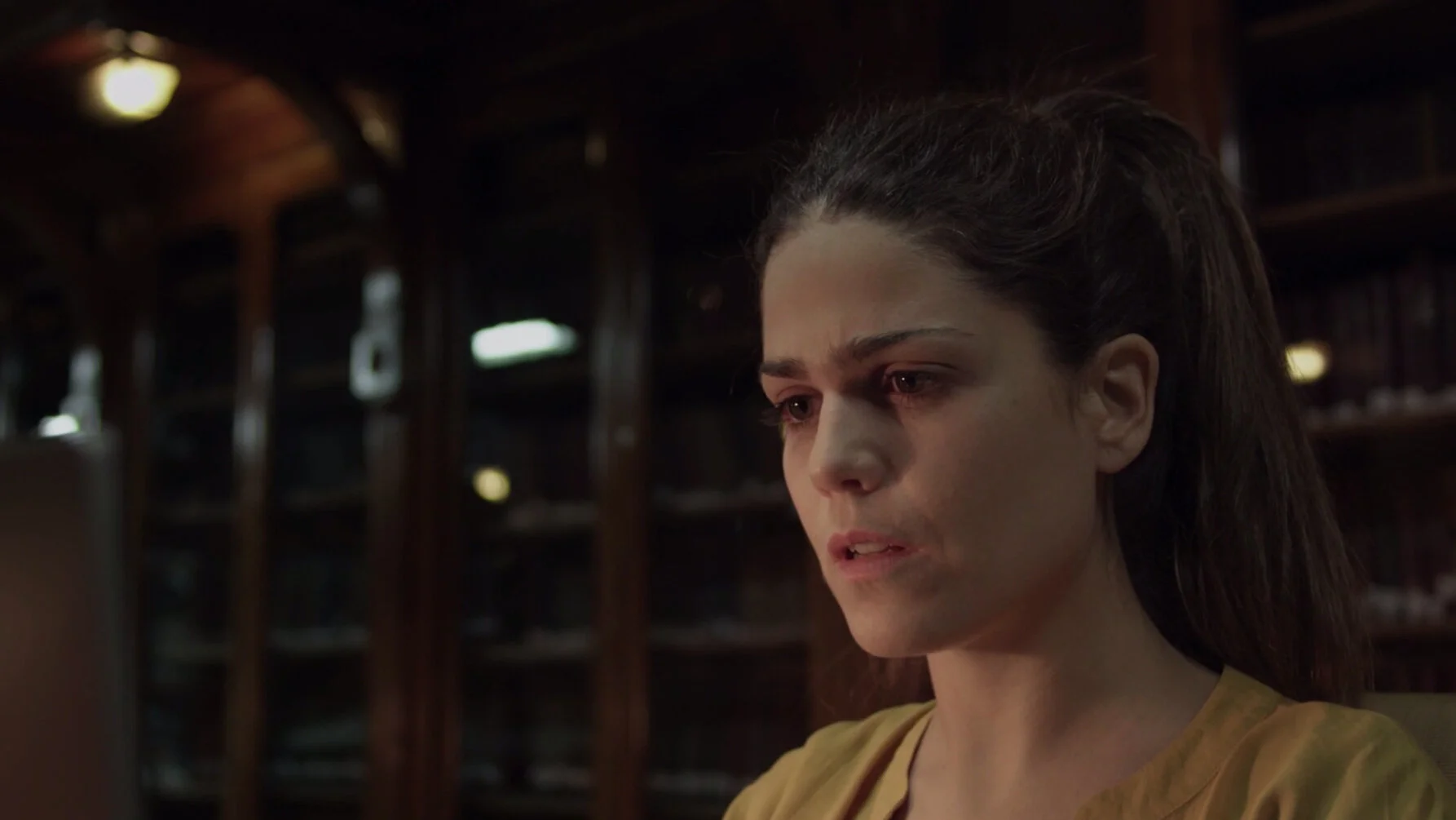 - LA BIBLIOTECARIA - 