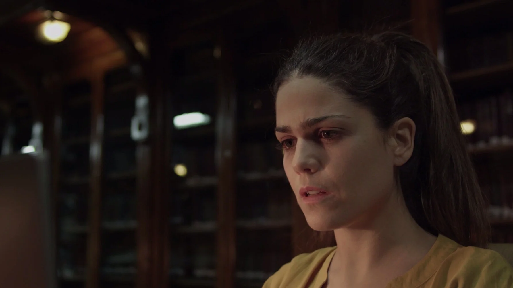 - LA BIBLIOTECARIA - 