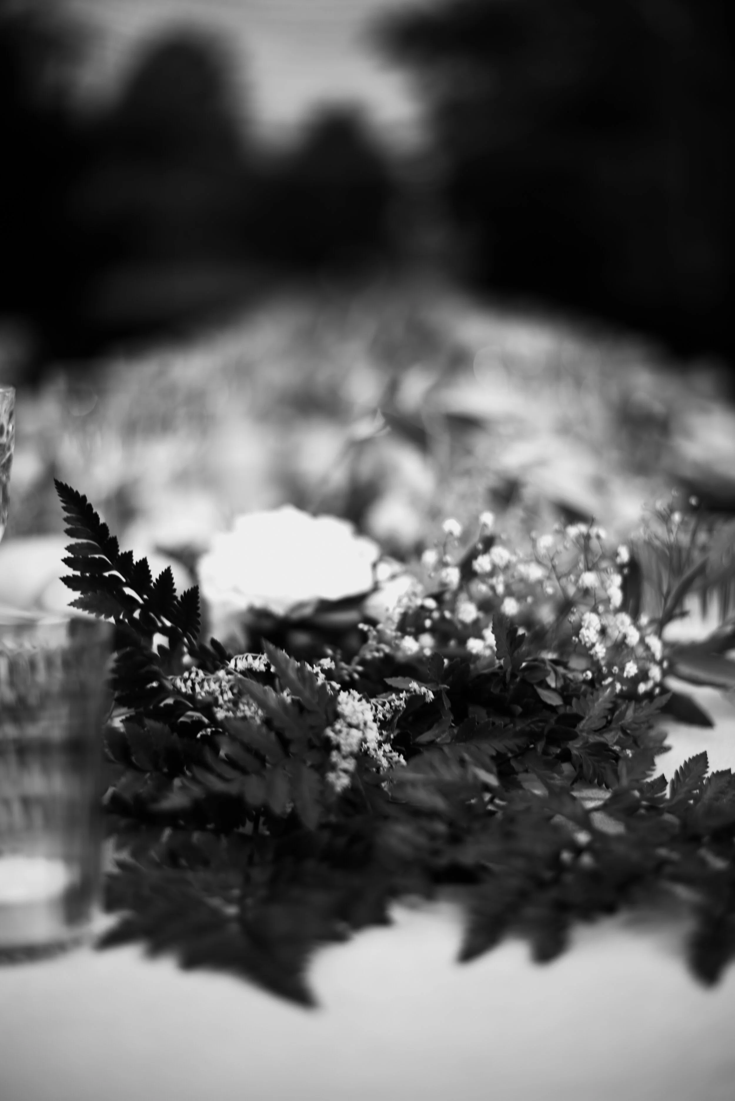 DSC_2198.jpg