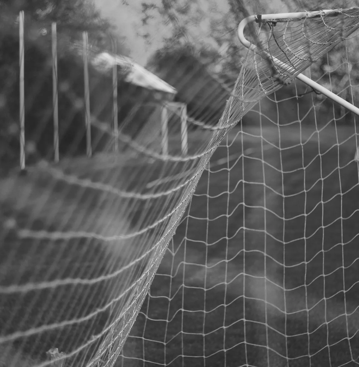  Fundación Real Madrid 