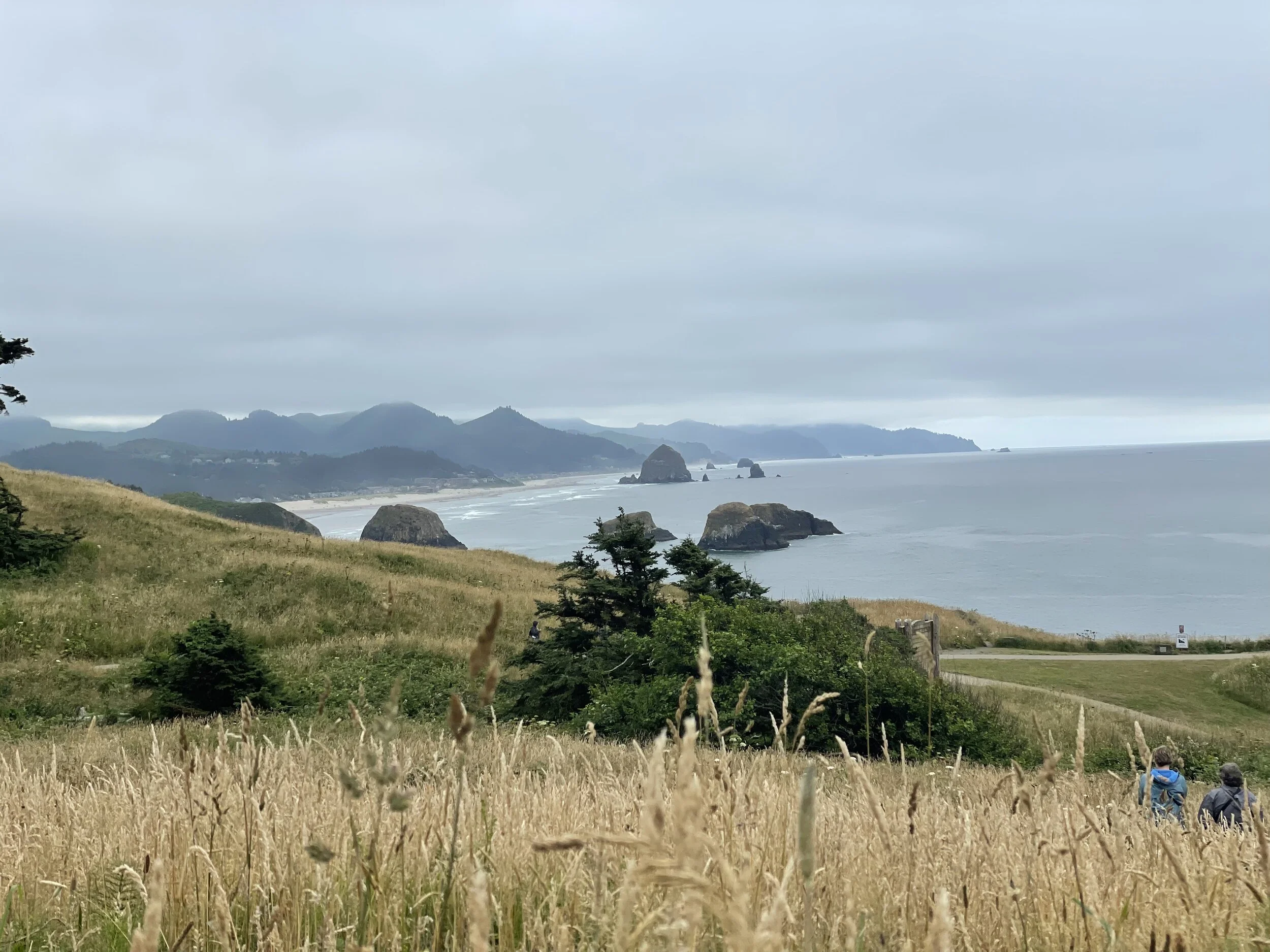 The PNW Coastal Collection: Planning &amp; Gathering Inspiration