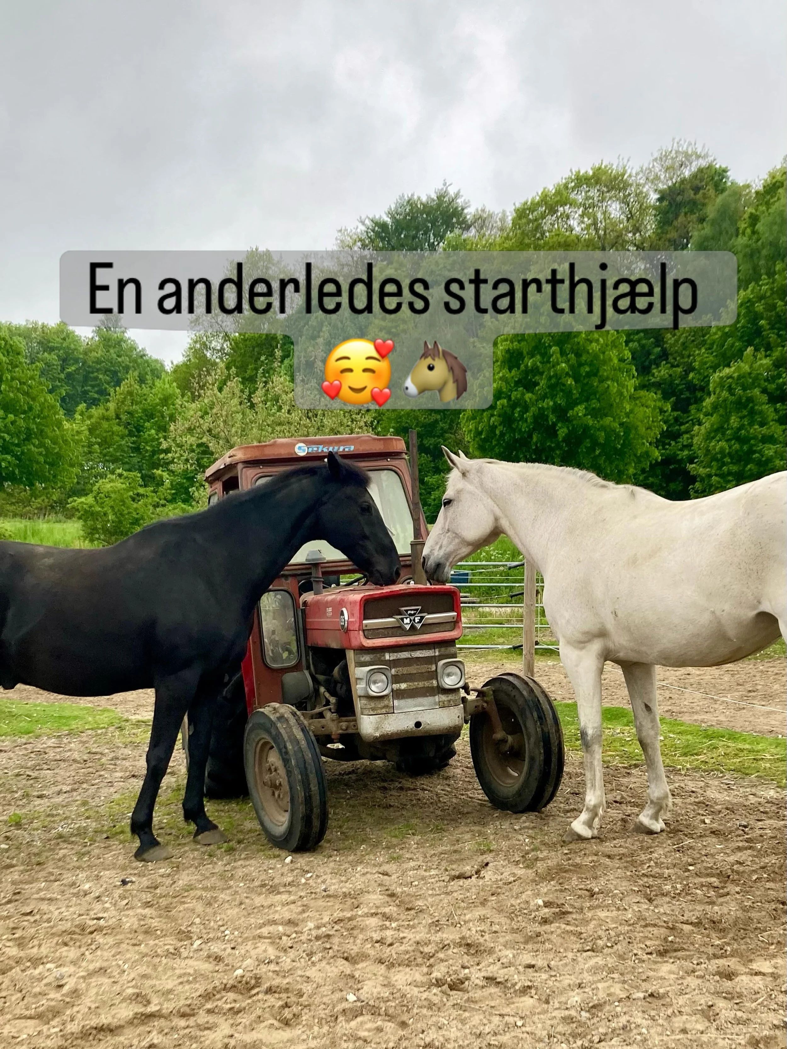 N&aring;r den ellers flinke traktor strejker, og man ikke er spor motorkyndig, s&aring; er det godt, at hestekr&aelig;fter fra flokken gerne tr&aelig;der hj&aelig;lpsomt til 😄🐴❤️ 

De fik godt nok ikke startet den, men de gjorde det meget hyggelige