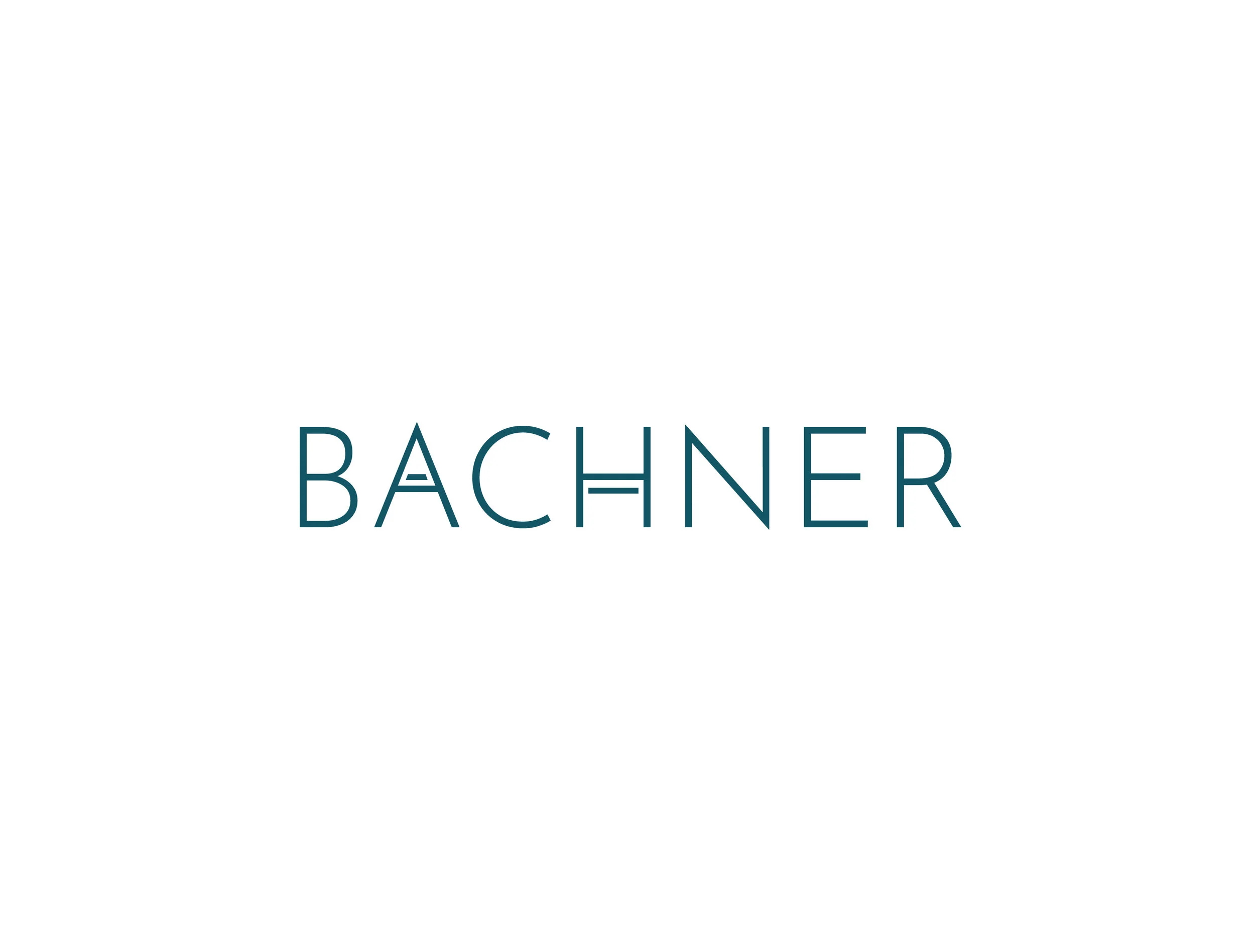 Bachner_squarespace2.jpg