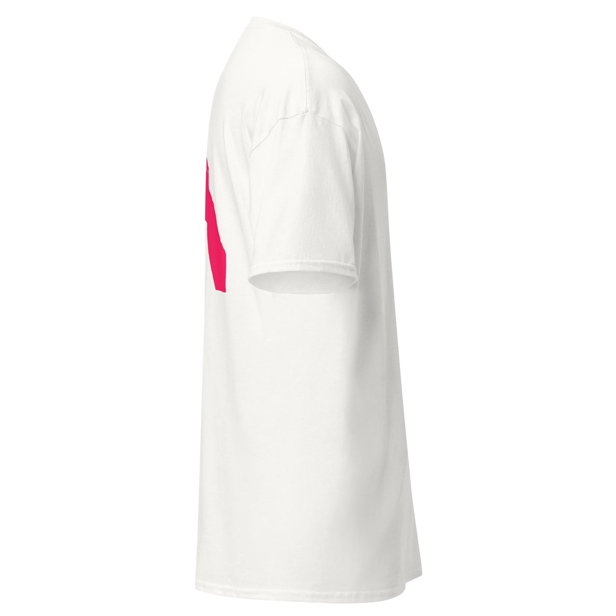 unisex-classic-tee-white-right-6a96eecc43ac2.jpg