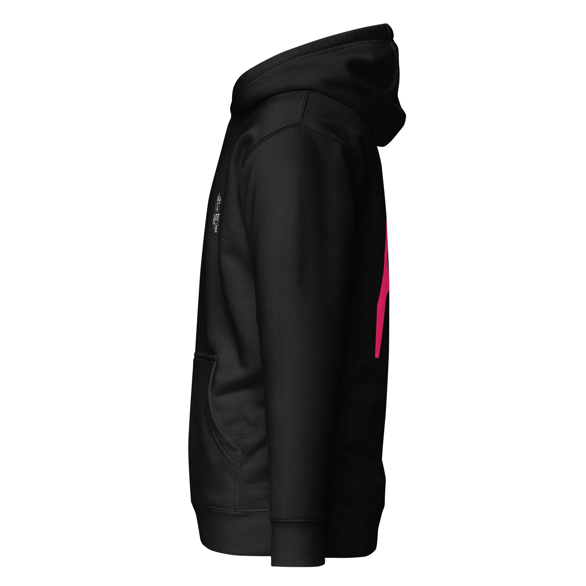 unisex-premium-pullover-hoodie-black-left-6a9849275e3fa.jpg