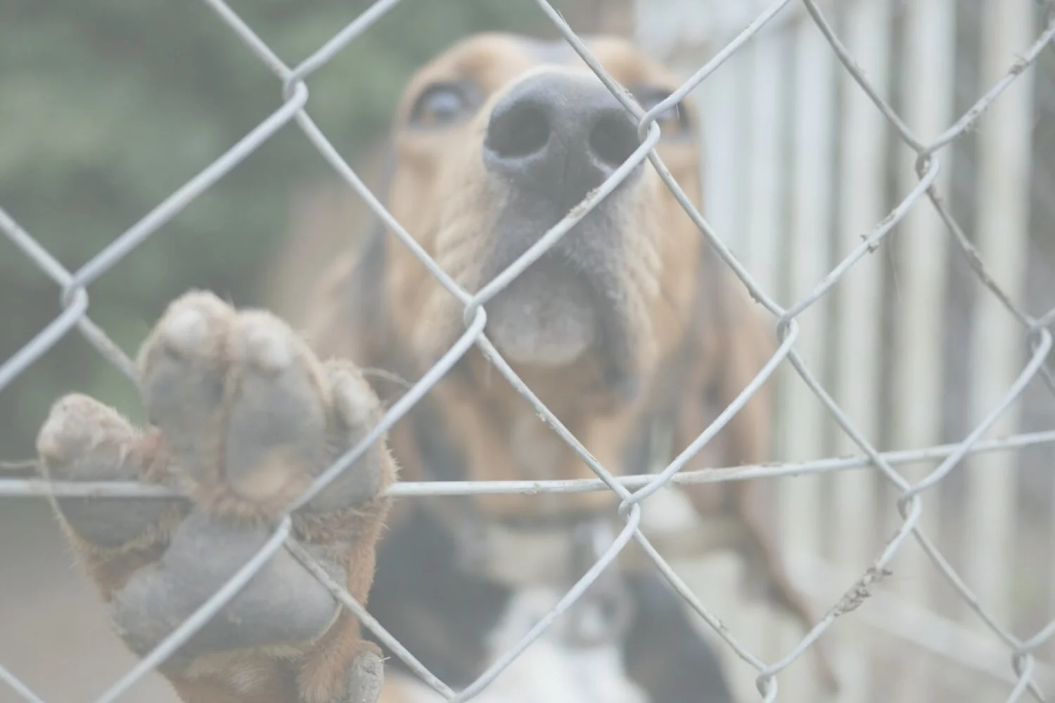 I believe that being yourself is incredibly important.  I help people identify the masks they wear and the ideas they repeat out of habit.