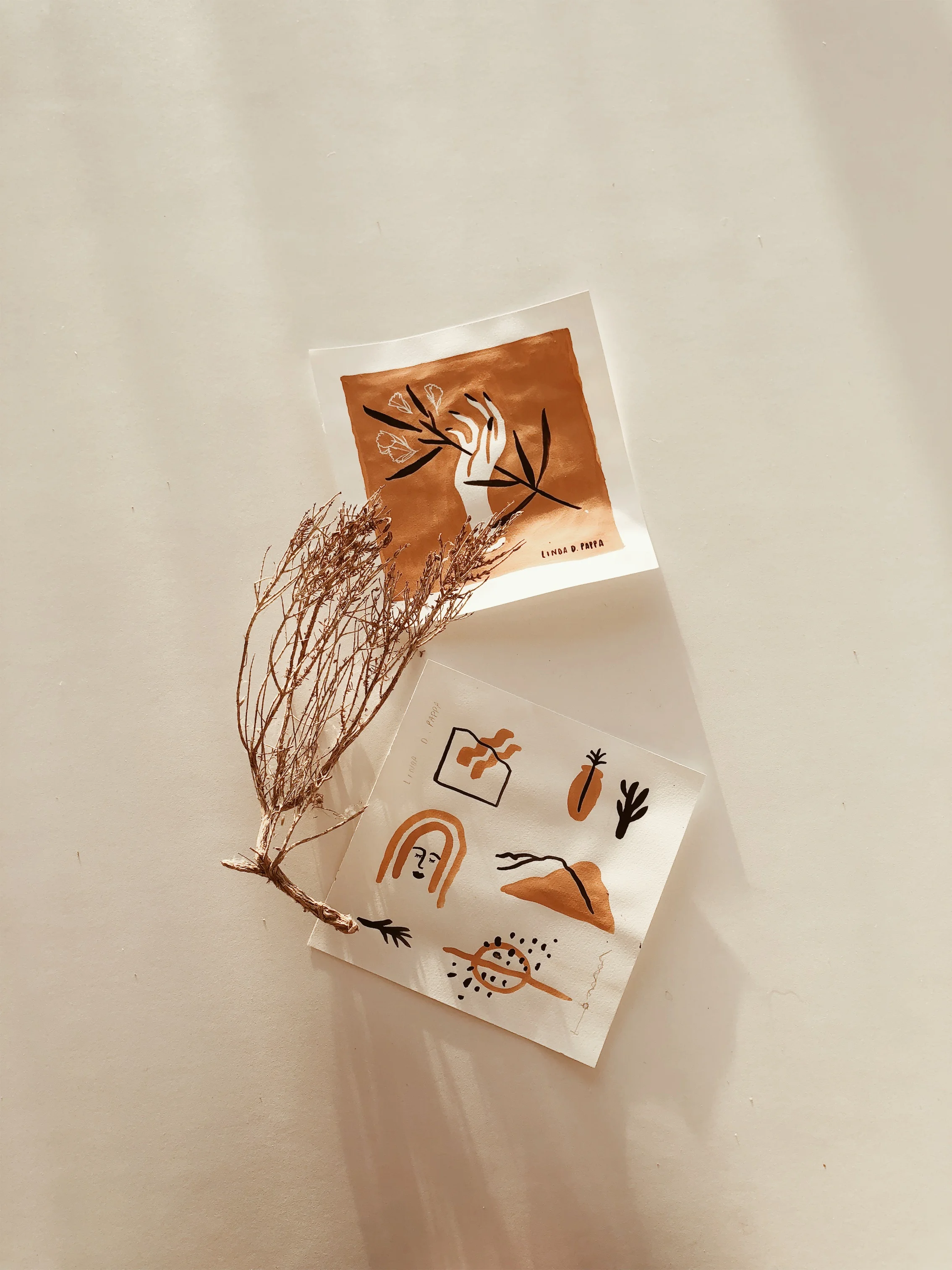 Linda-Pappa-Apricot-Series-02.jpeg