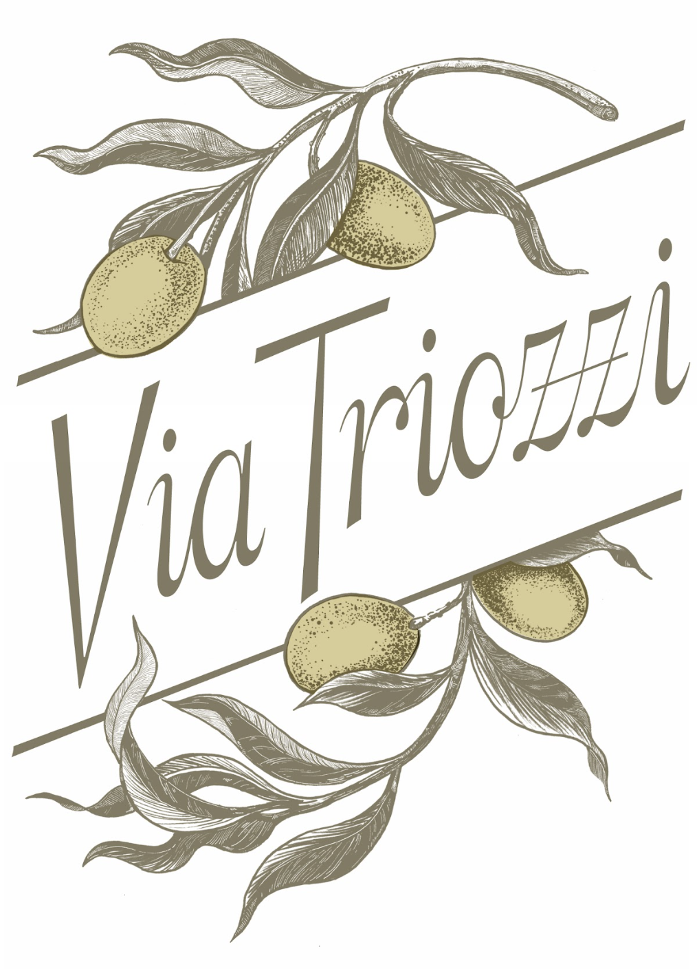 Via Triozzi logo.png