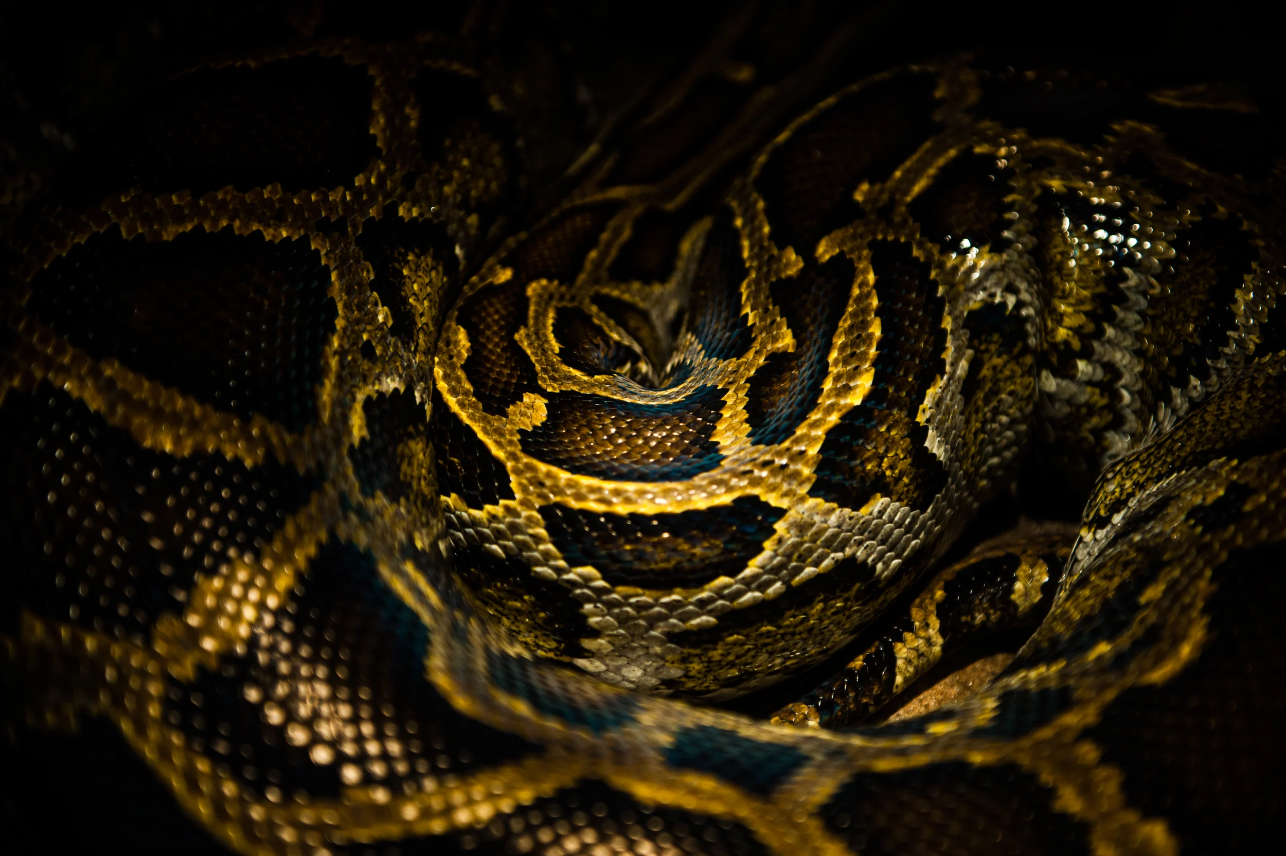 img_photog_zoo_3295.jpg