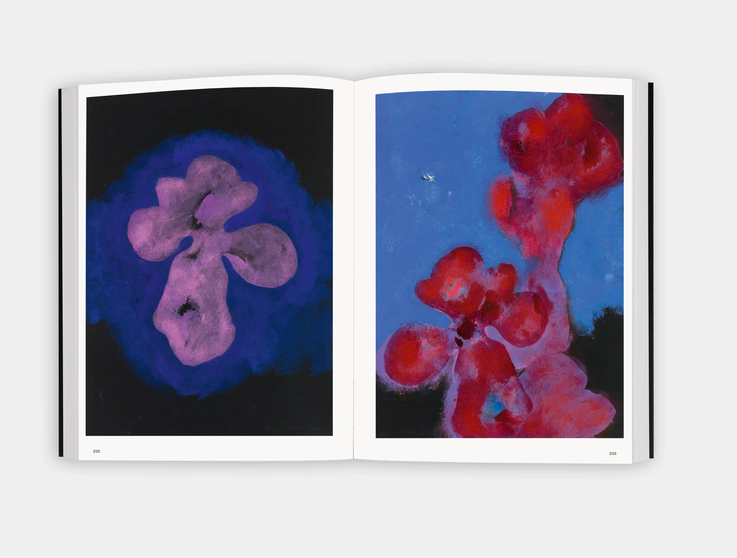 Brian-Clarke-Night-Orchid_spreads_1.jpg