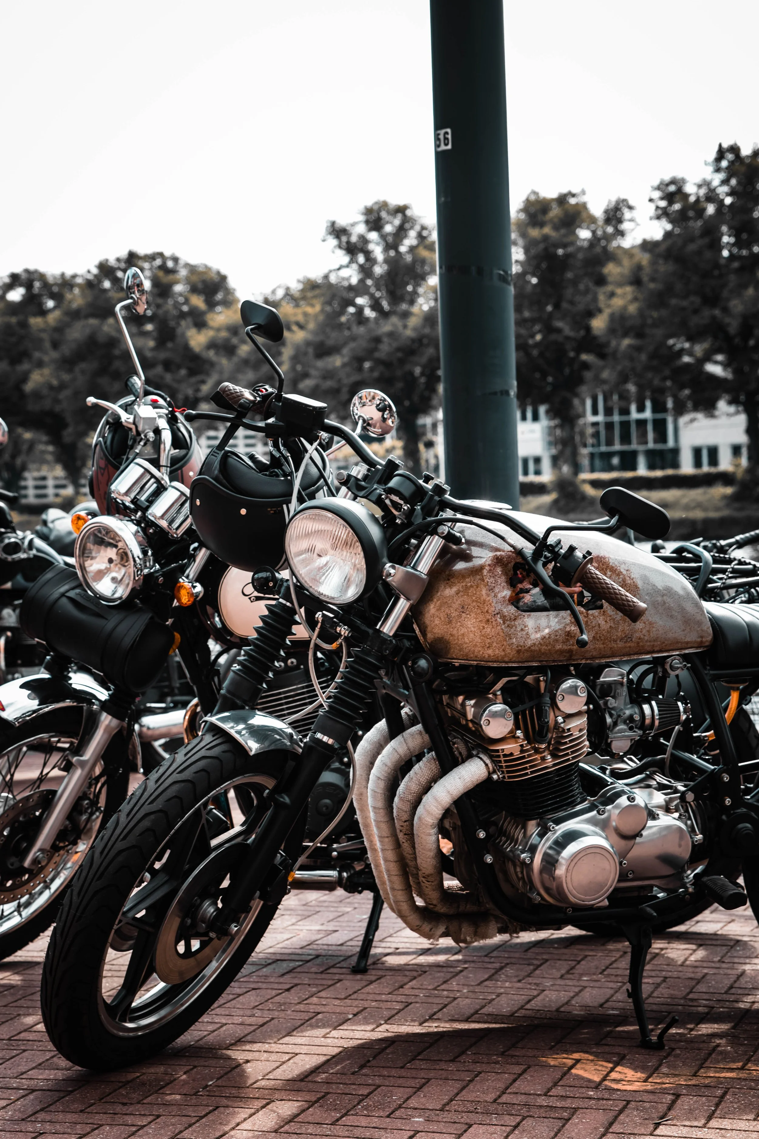 DGR'22-219.jpg