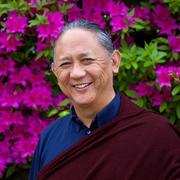 Dzigar Kongtrul Rinpoché (en live streaming ) 
