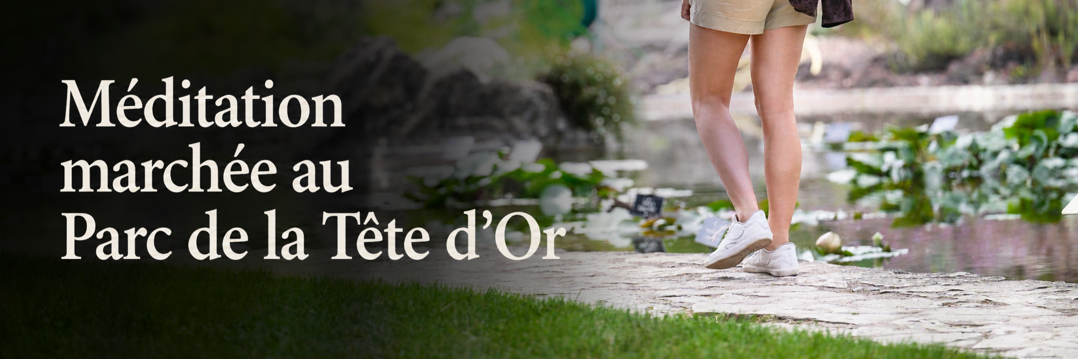 TETE D'OR - BANDEROLLE.png