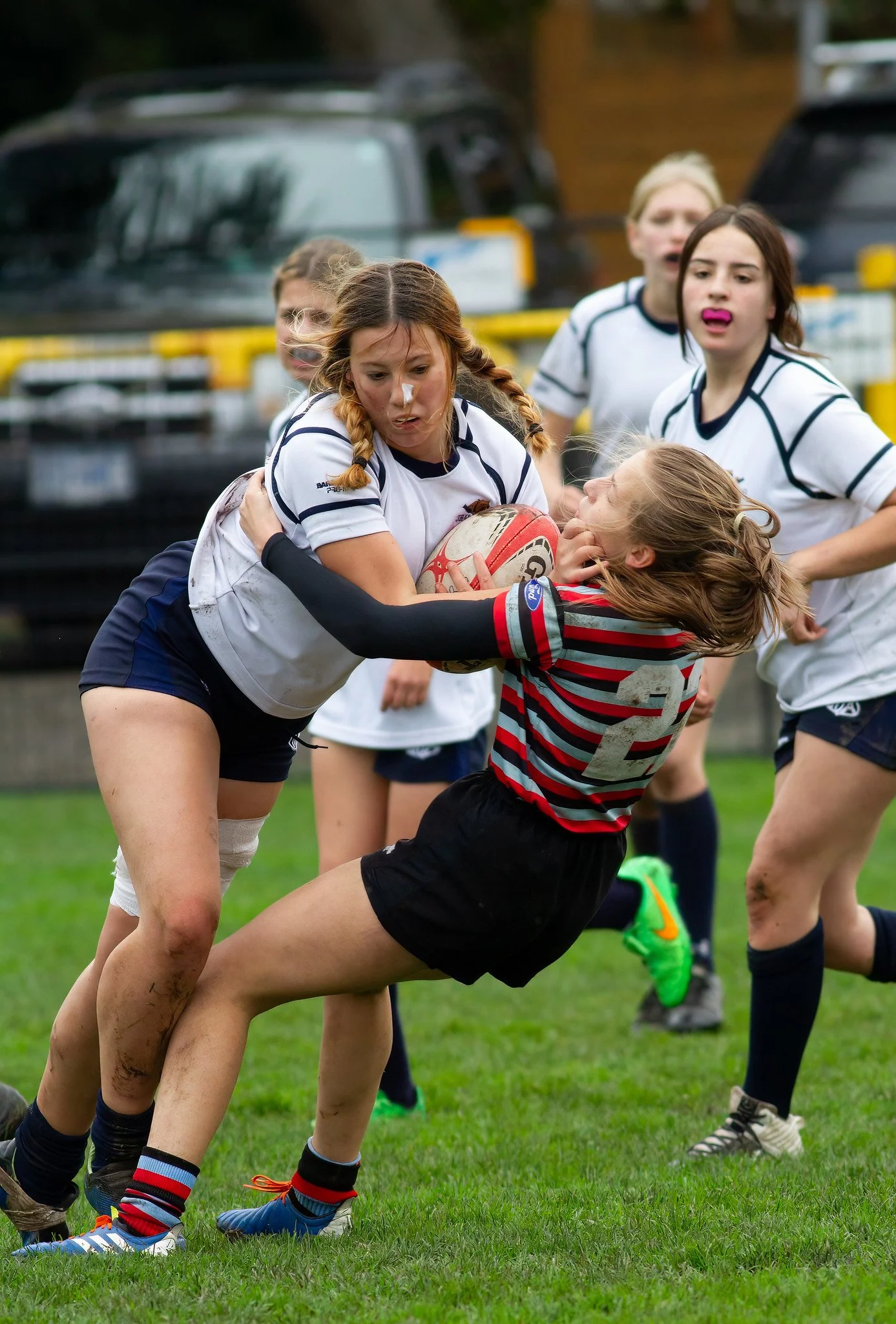 cant stop the bear girl 2.jpeg