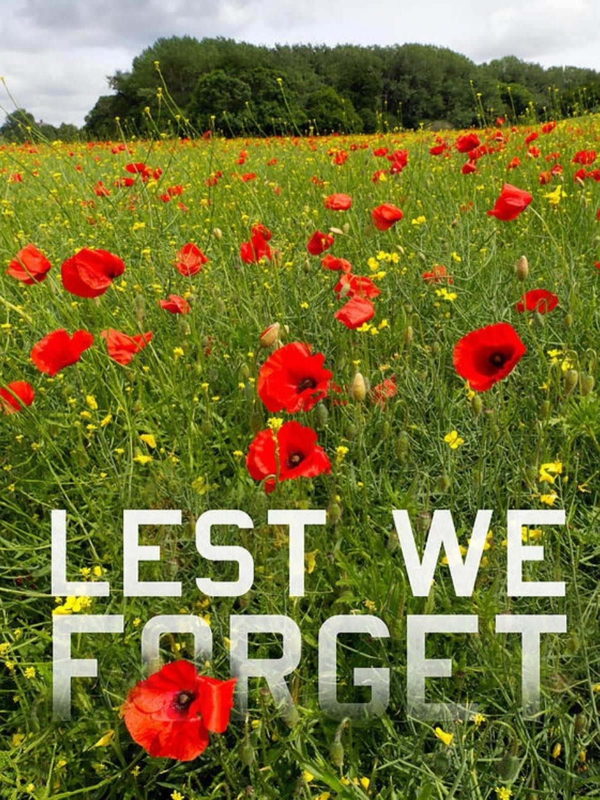 On #RemembranceDay, we honour the courage and sacrifice of those who have served
Canada. #LestWeForget