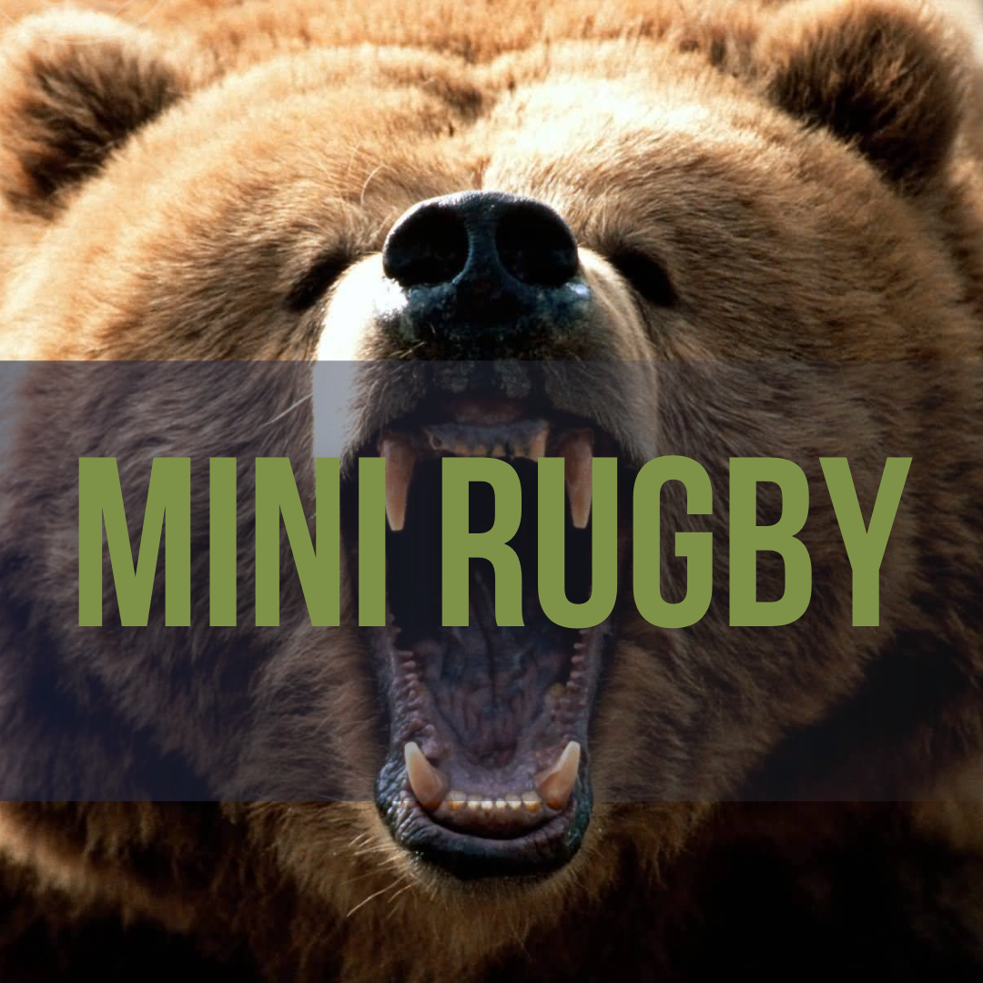 Mini Rugby start date announced