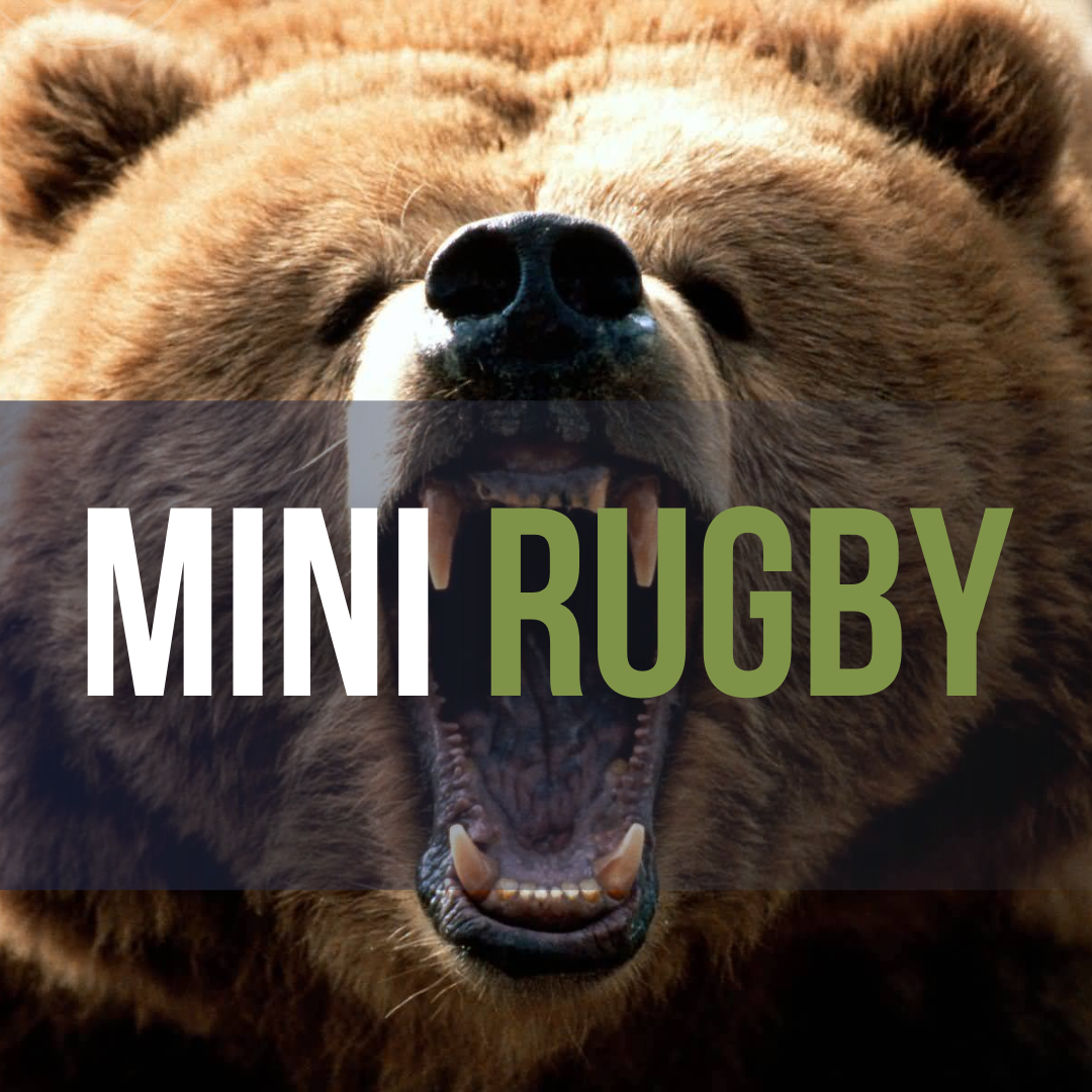 Minis First Session