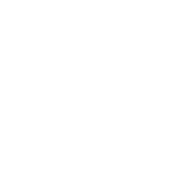 LOGO GRAPHIC W (4).png