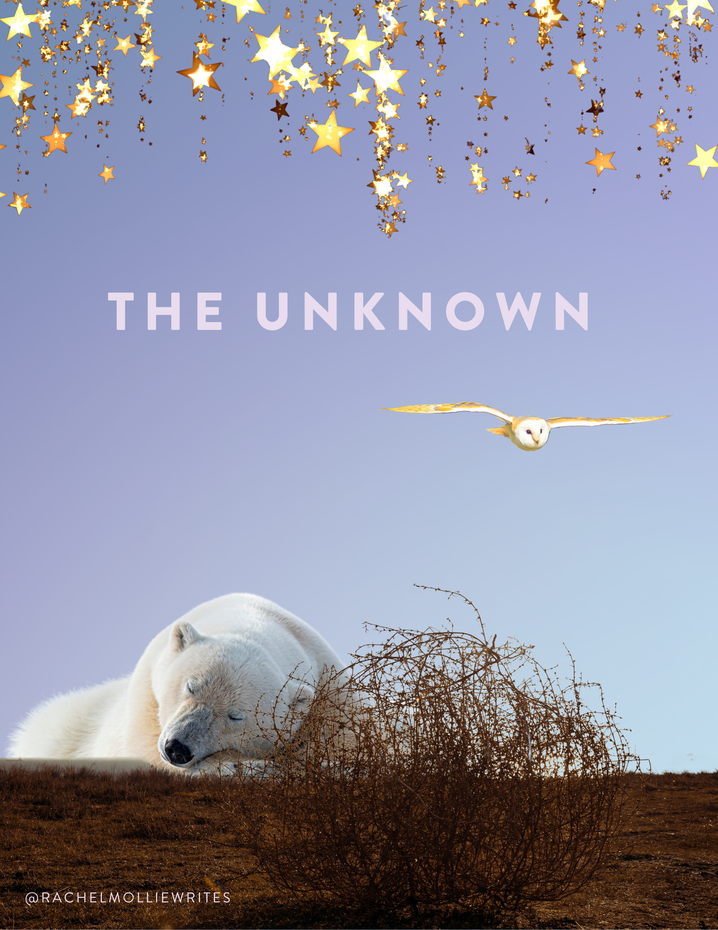 The Unknown (8.5 × 11 in) (1).png