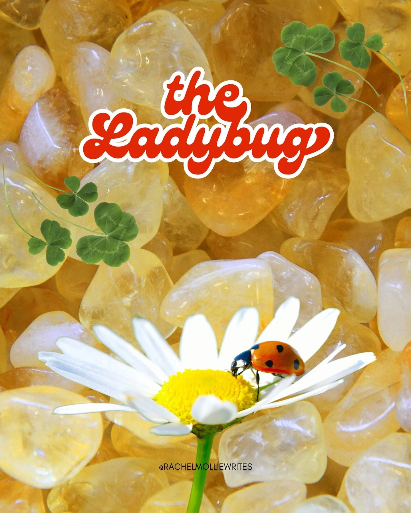 ✨ WILD WISDOM ✨ Embrace the magic of the ladybug, a tiny creature that carries profound meanings across cultures. 🐞 💖 🍀 #ladybug #goodluckcharm #newbeginnings #wildwisdom