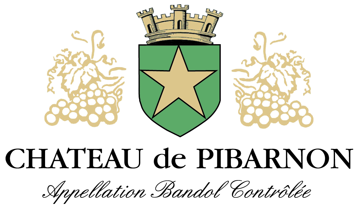 logo Pibarnon HD.jpg