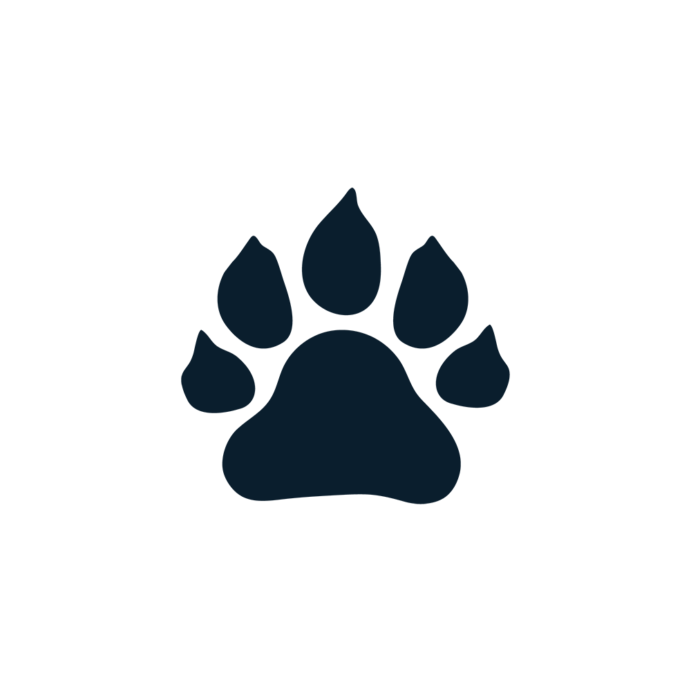 Absolutely-Bear-Paw.png