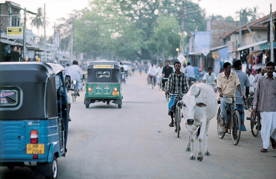 joe-curren-sri-lanka-11.jpg