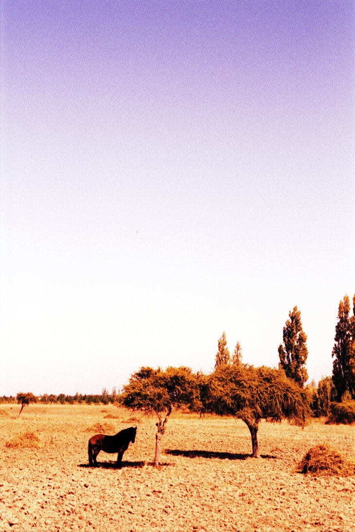 joe-curren-chile-03.jpg