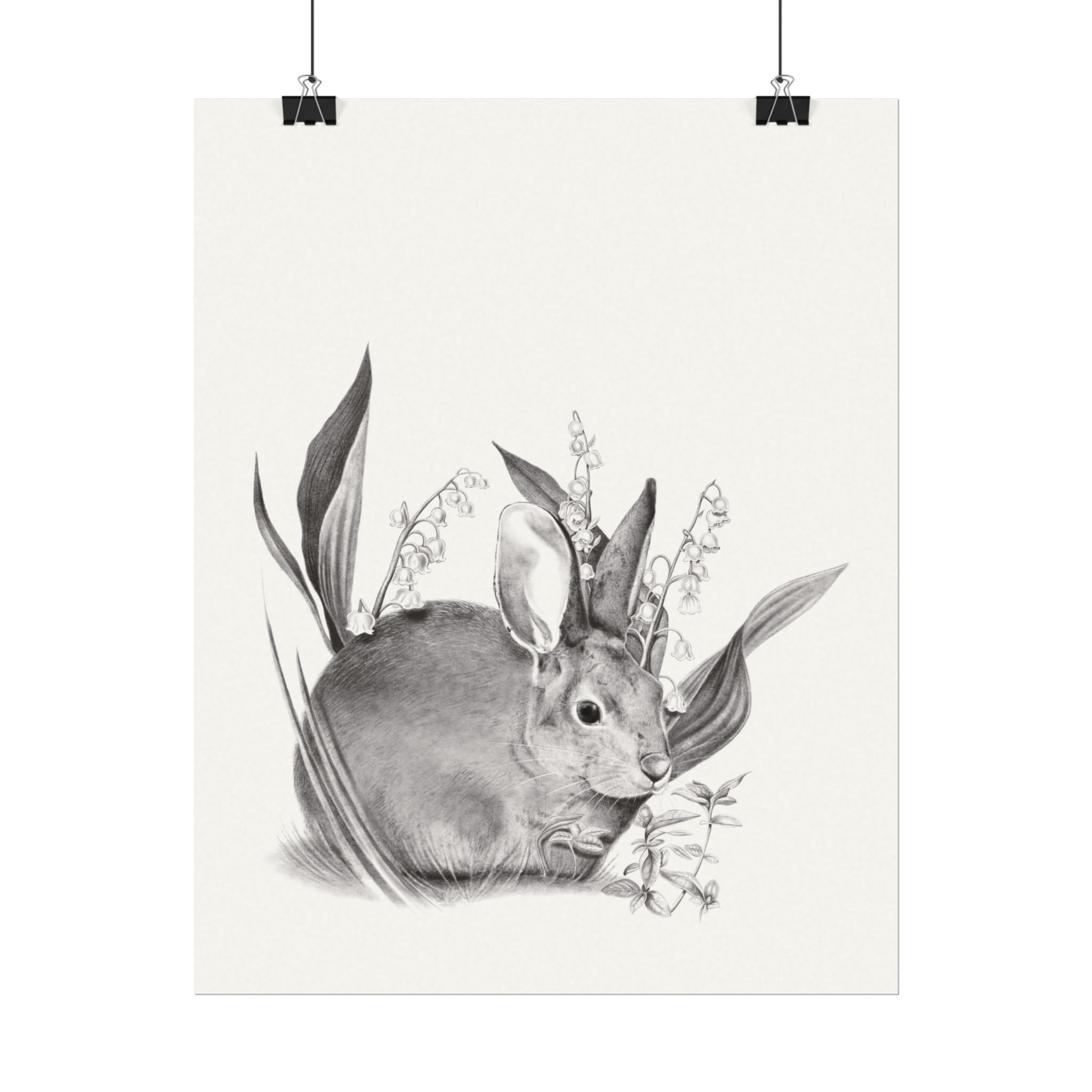 afa724fd340a637261825b19c4b8300a