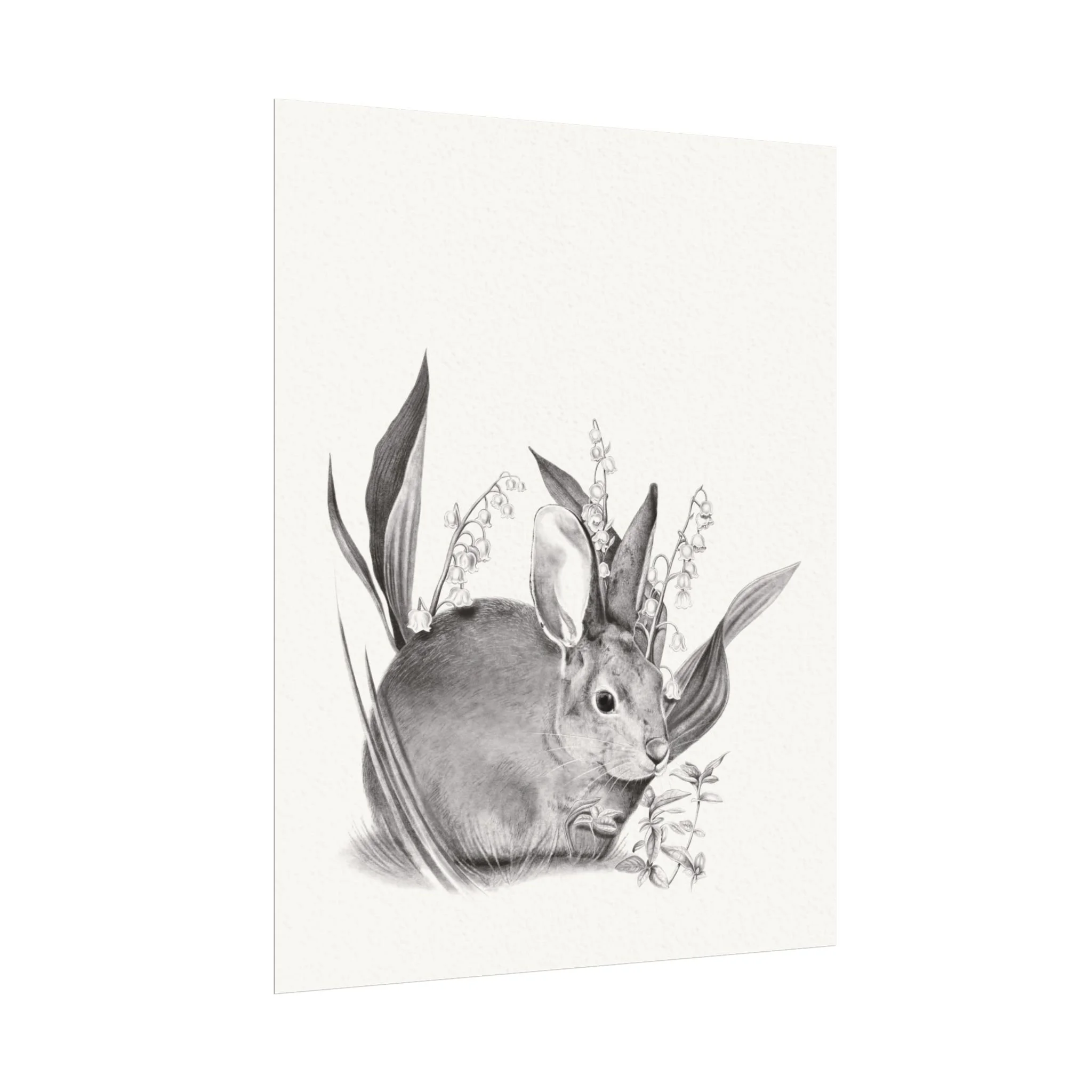 81f3c9e29d568595279aa552165ffe1c