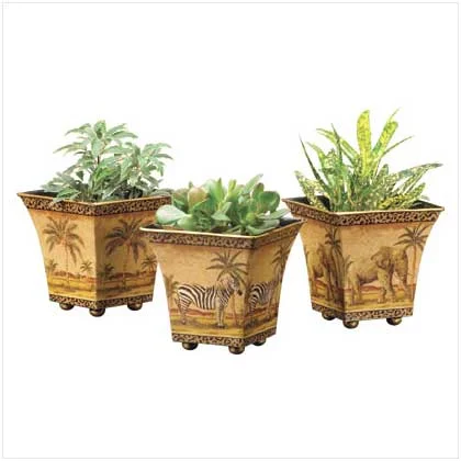 Safari Planter Trio